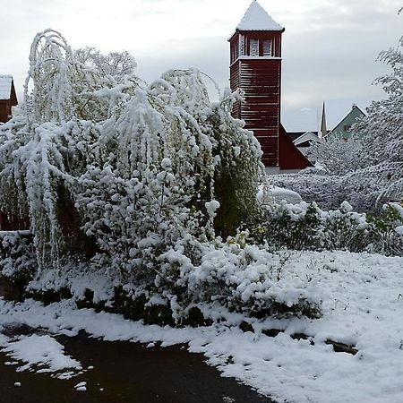Отель Gastehaus Zum Alten Schulhaus Мильтенберг Экстерьер фото